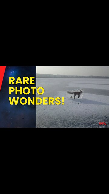 RARE PHOTOS! Frozen Fox, Deadly Plant, and an Iron Age Brain!