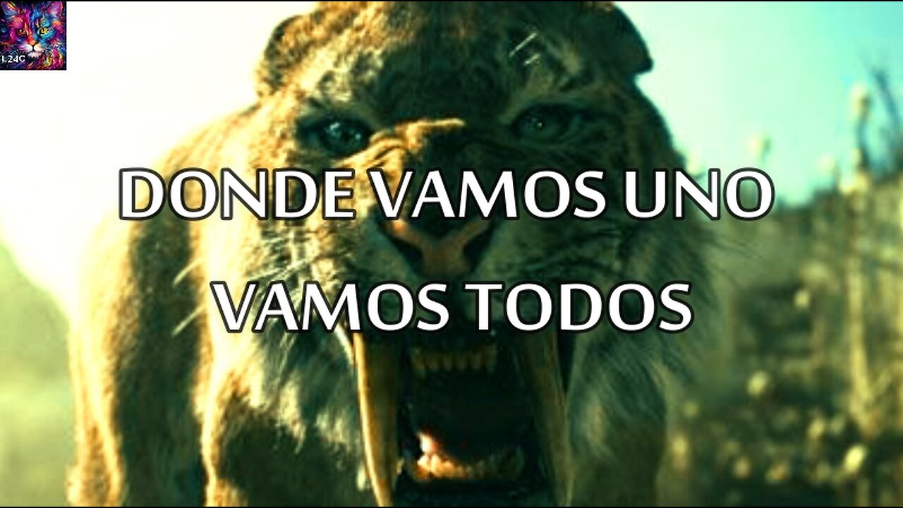 Donde vamos uno vamos todos