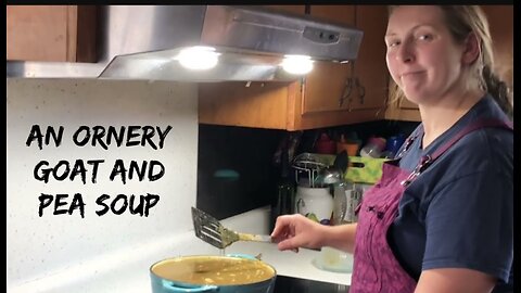 An Ornery Goat and Pea Soup VLOG#041