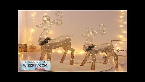 LED Large Reindeer Elk Light Night Lamp Deer Lighting Christmas Ornament Outdoor Review