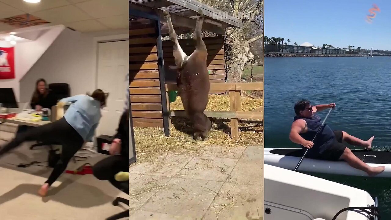 Epic Fails and Hilarious Falls | Funny Compilation 2025