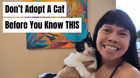 10 Things You NEED To Know Before Adopting A Cat