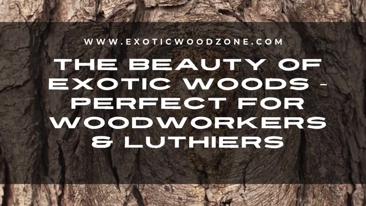 The Beauty of Exotic Woods – Perfect for Woodworkers & Luthiers