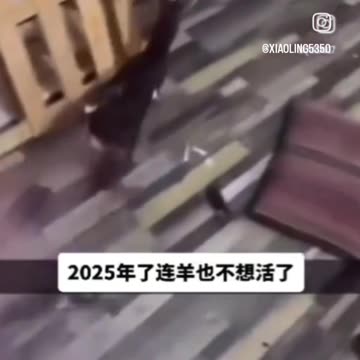 Do You Think Guys This Is Funny Video