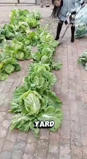 Using Bricks as mulch in the garden.