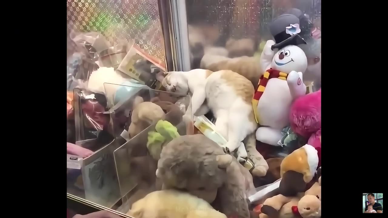 Cutest funny 😁 😂