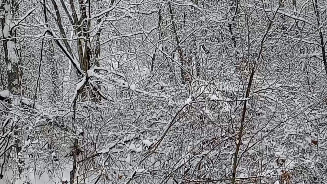 Snowy Backwoods Winter Hike - Ozark Mountains USA January 10th , 2025