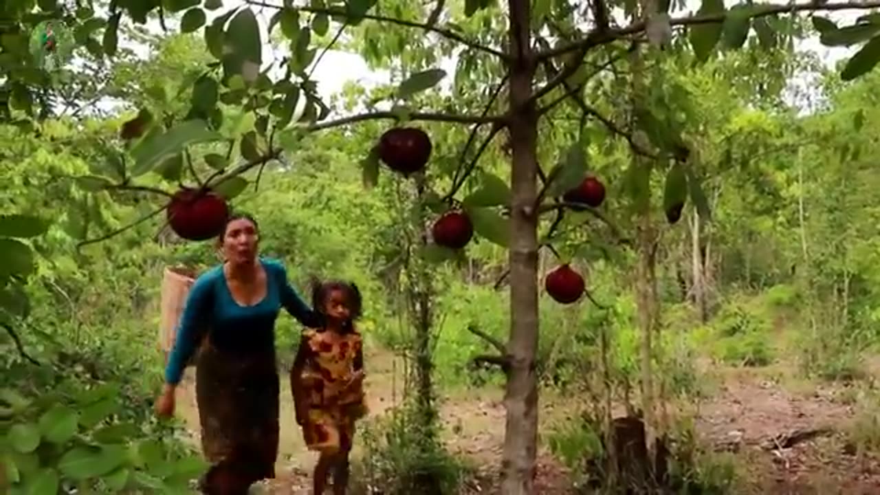 Survival skills: Catch many crab and chickens in the forest; cook chicken soup