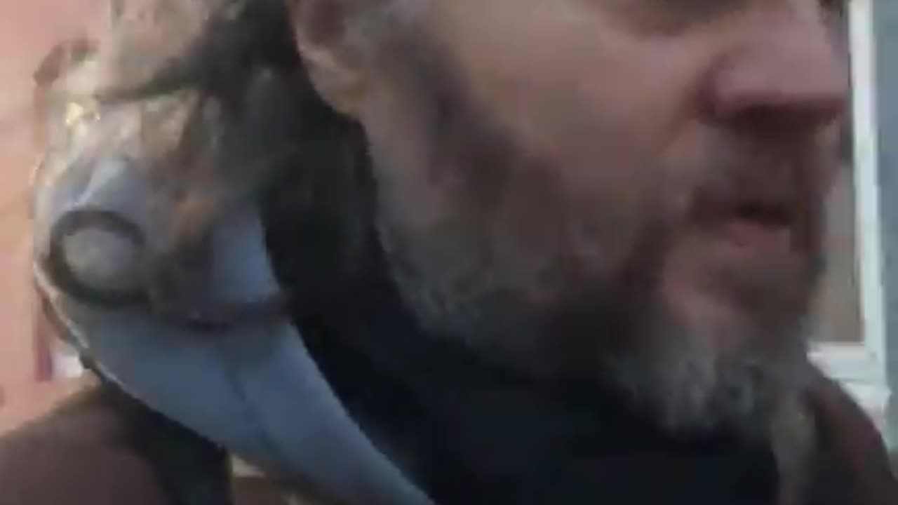 Fire hovedveje til holistisk sundhed