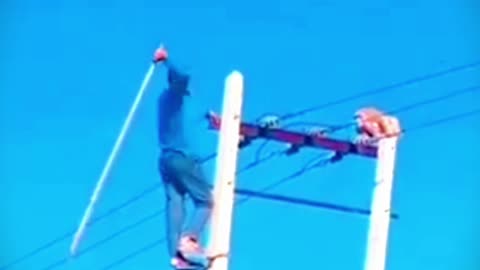 Man trying to get a monkey down from an electricity pole!!