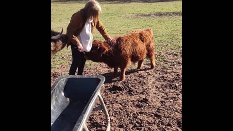 Dawn saying goodbye to Loki.