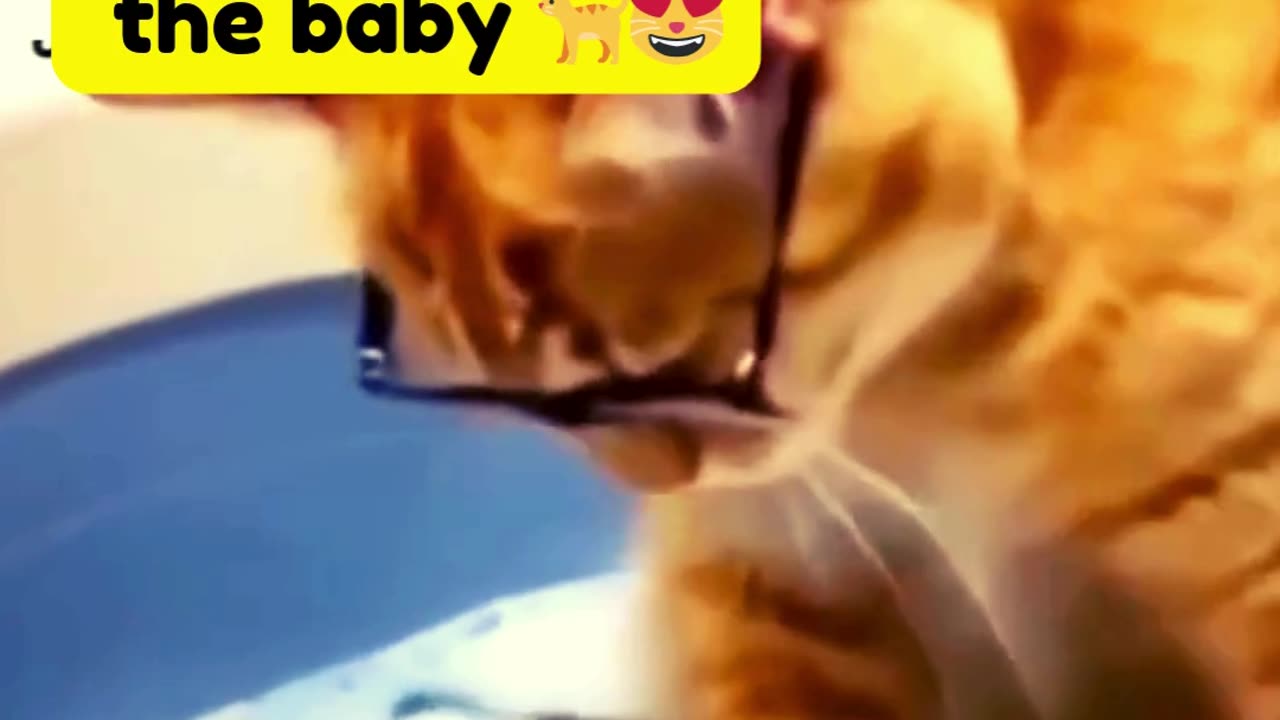 The cat is bathing the baby🙀🐈-