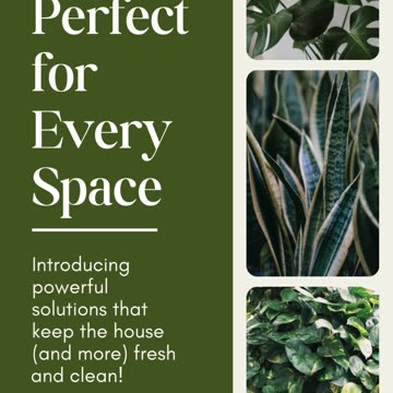 Homestar Multi-Purpose Cleaner