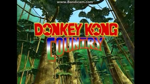 Donkey Kong Country7