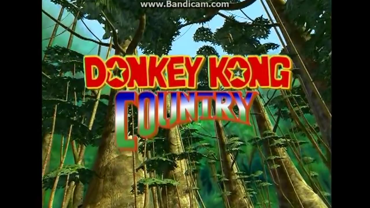 Donkey Kong Country7