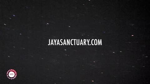 Jaya Sanctuary - A friendly place for all beautiful beings