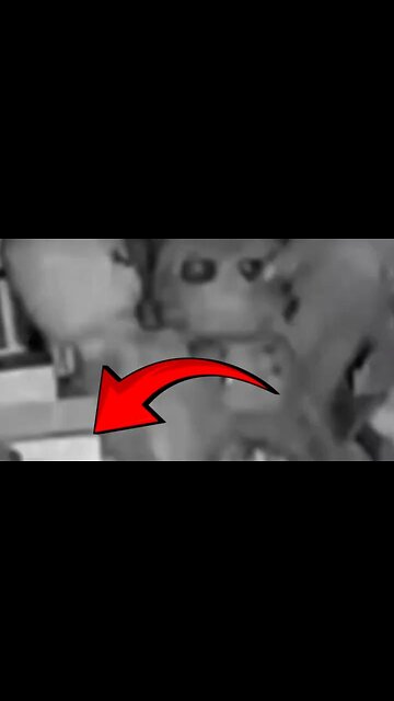 Überwachungskamera filmt in einem Puppenmuseum eine besessene Puppe mit übernatürlichen Kräften