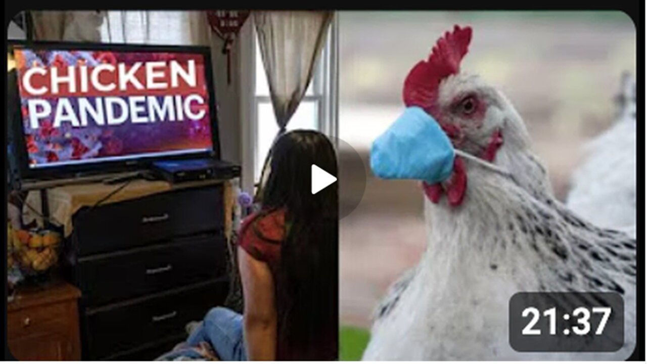 THE BIRD FLU PSYCHOSIS IS SPREADING! |THE SHEEPLE ARE DEMANDING SHOTS & SWAB TESTS!