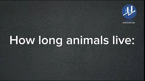 How long animals live