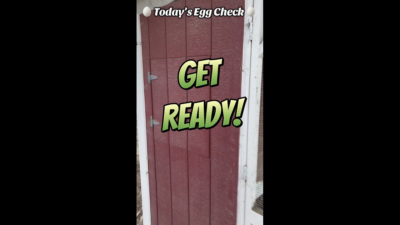 🥚 Today’s Egg Check! 🥚