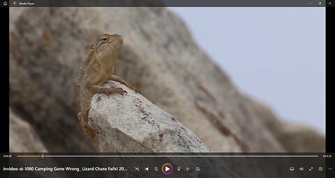 Camping gone wrong Chasing Lizards