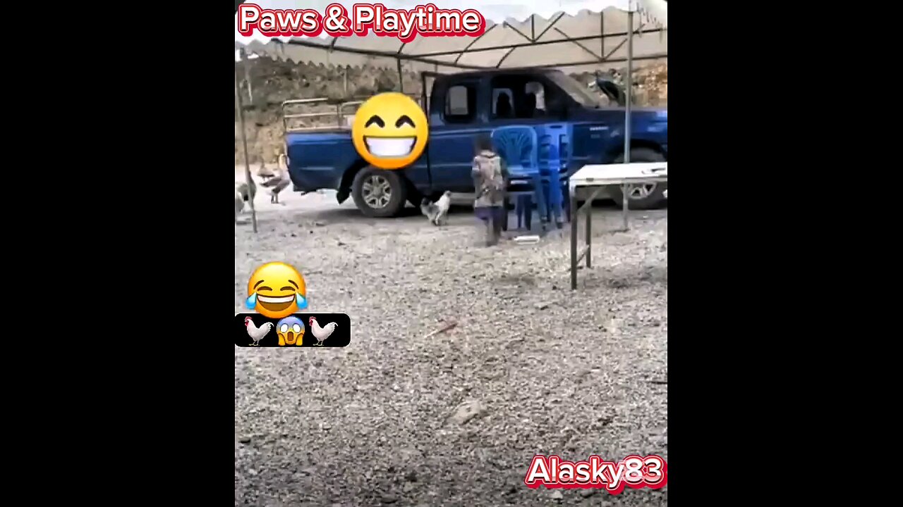 FUNNY FIGHT BETWEEN A ROOSTER AND A CHILDππππ