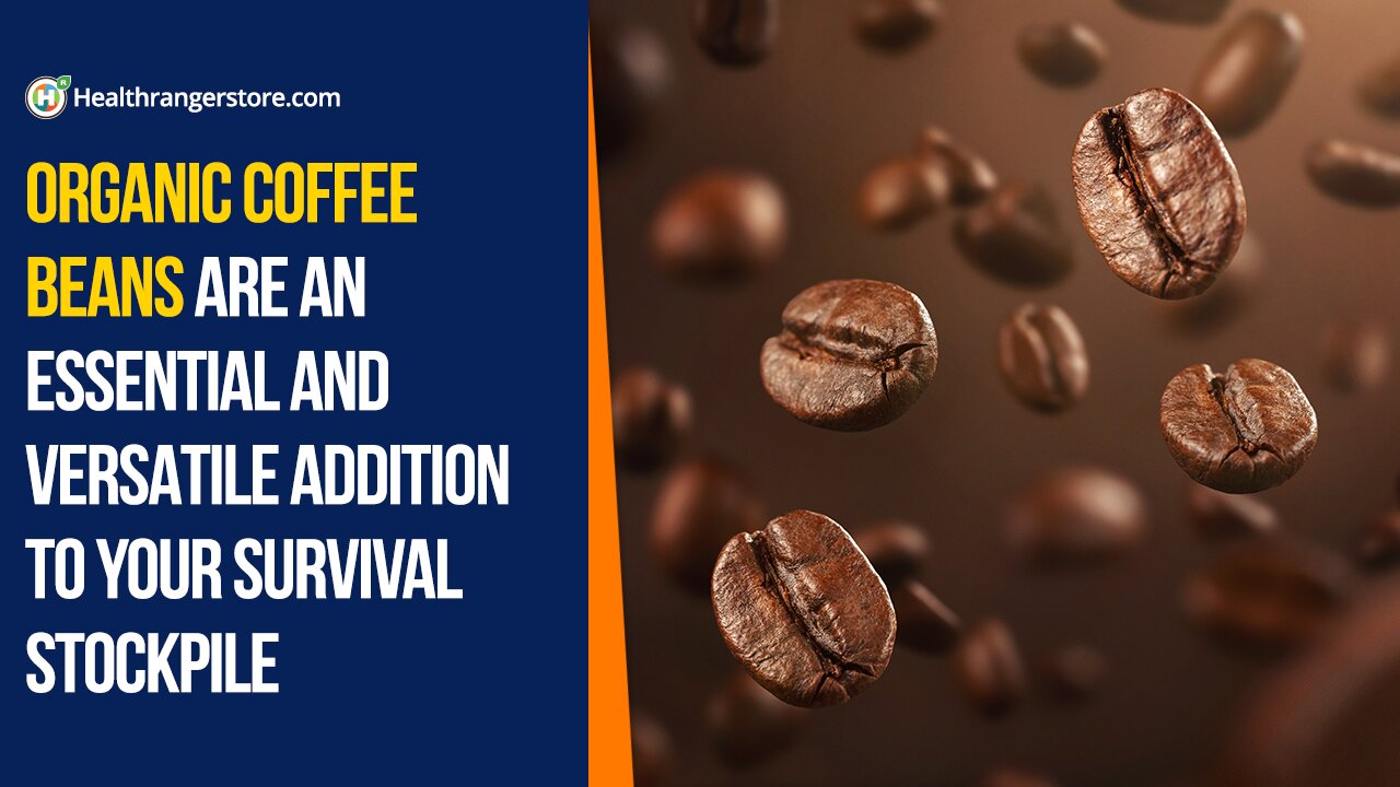 Organic Coffee Beans are an essential and versatile addition to your survival stockpile
