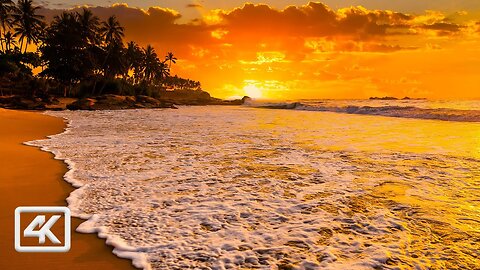 Chill with Hours of 🌊 Waves, 🌊 Ocean Sounds, and ☀️ Sunsets