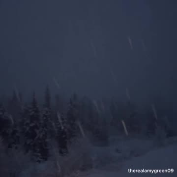 Did anybody have poisonous fog on their 2025 bingo cards? 🤔