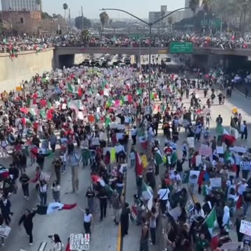 ПРОТЕСТИ НА ЛАТИНОАМЕРИКАНСКАТА ОБЩНОСТ В ЛОС АНДЖЕЛИС