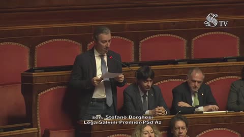 Borghesi - Intervento in Senato (11.02.25)