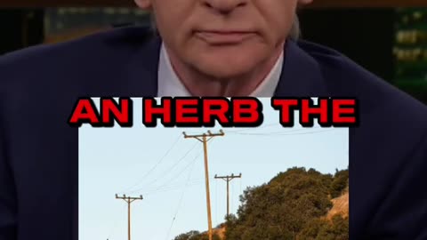 Bill Maher The Power Lines