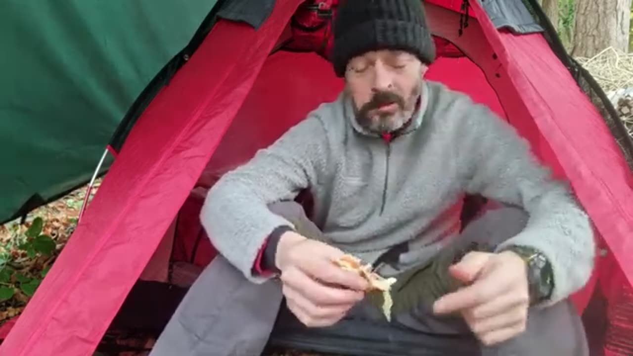 Winter Wild camping Scotland. Solo tarp and tent camp in the forest.