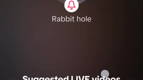 Rabbit hole live 2/6/25, don't miss the end, it's always where the good stuff is at