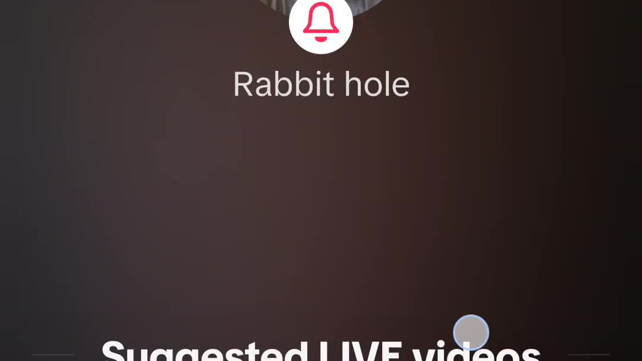 Rabbit hole live 2/6/25, don't miss the end, it's always where the good stuff is at