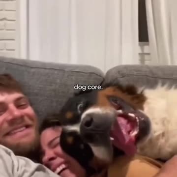 Dog core 🥰🥰
