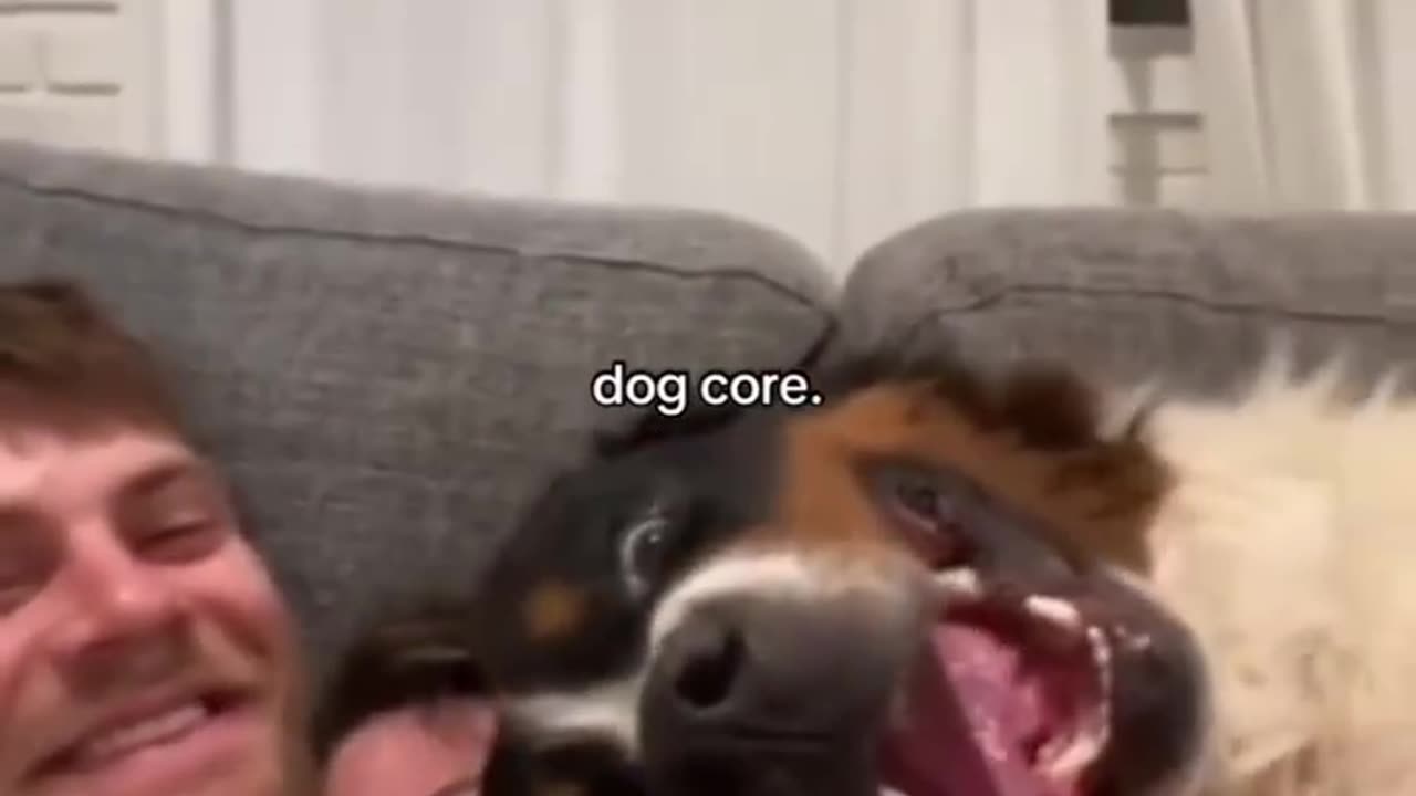 Dog core 🥰🥰