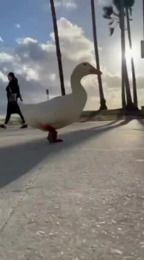 Walking to stay fit 😊