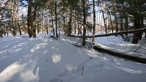 ❄️2025☃️02-03🎿-30🏂Hiking The NCC #27 Greenbelt Trails In Ottawa Part 3 🍁 Canada ❄️