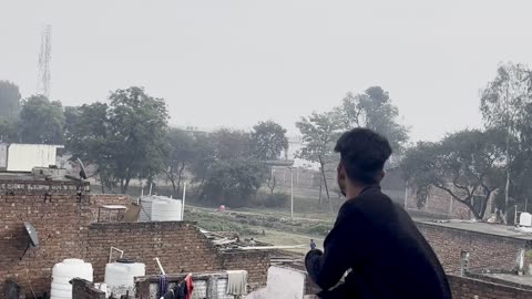 "Flying a Kite on a Windy Day | Relaxing Outdoor Fun"😄😄