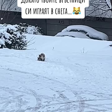 КОГАТО НЕ ТЕ ПУСКАТ НАВЪН