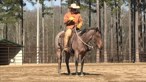 How to Post in a Western Saddle Preview