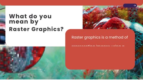 Top 5 Vector and Raster Software Applications