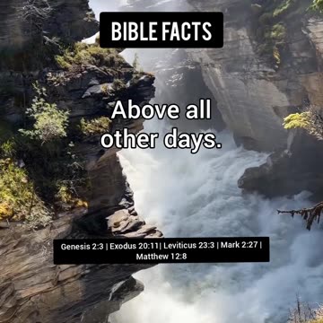 Commemoration | P4 | The Astonishing Details of Creation Unveiled!