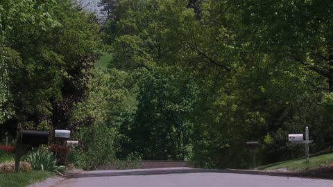 Las ventajas de ser invisible