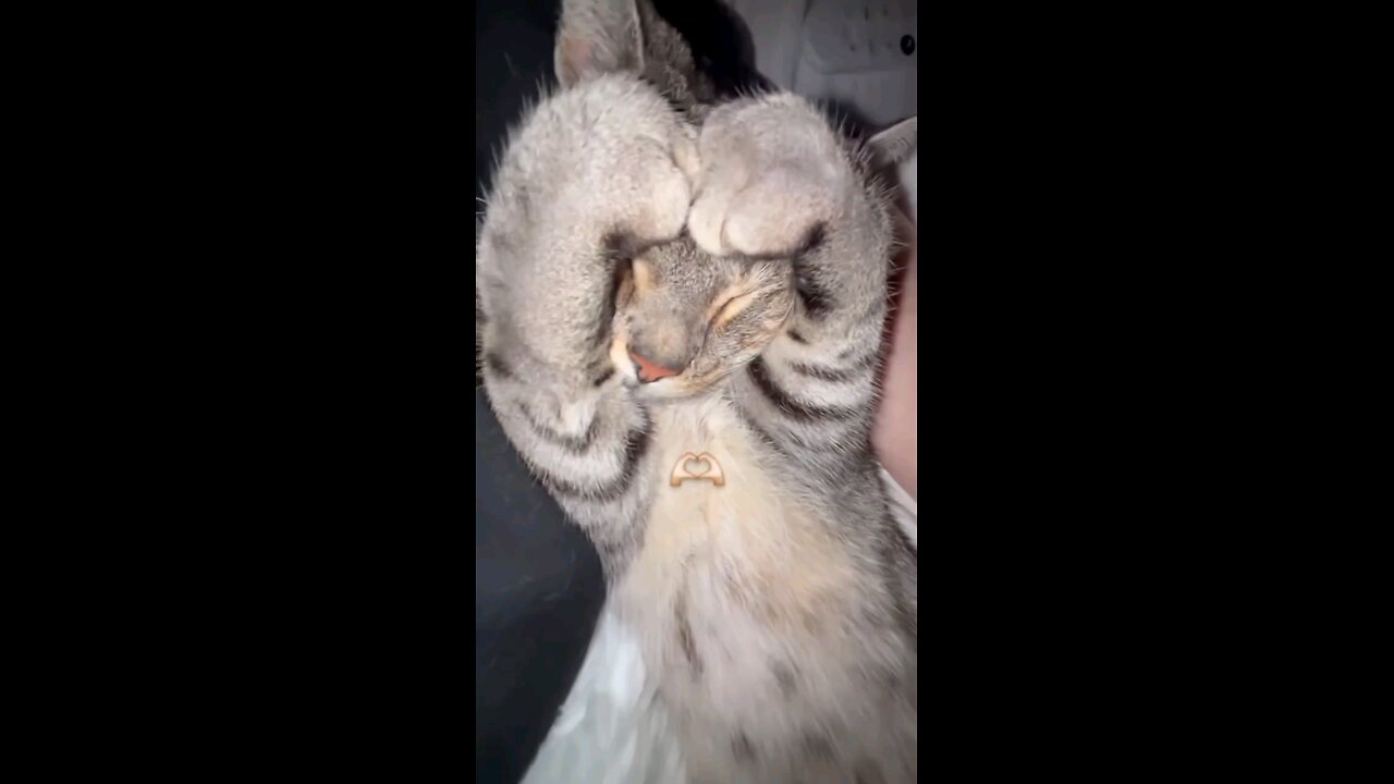 Bro ❤️😸😹🐈