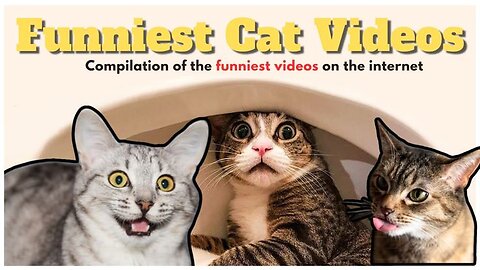 Funny animal videos 2025 - Funny cats/dogs - Funny animals Part1/Animals Planet