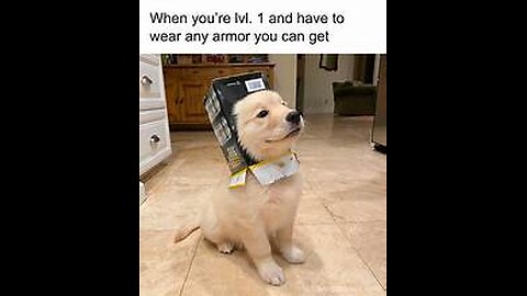 😂 "Funniest Moments EVER! You Won't Survive This 🤣" 
