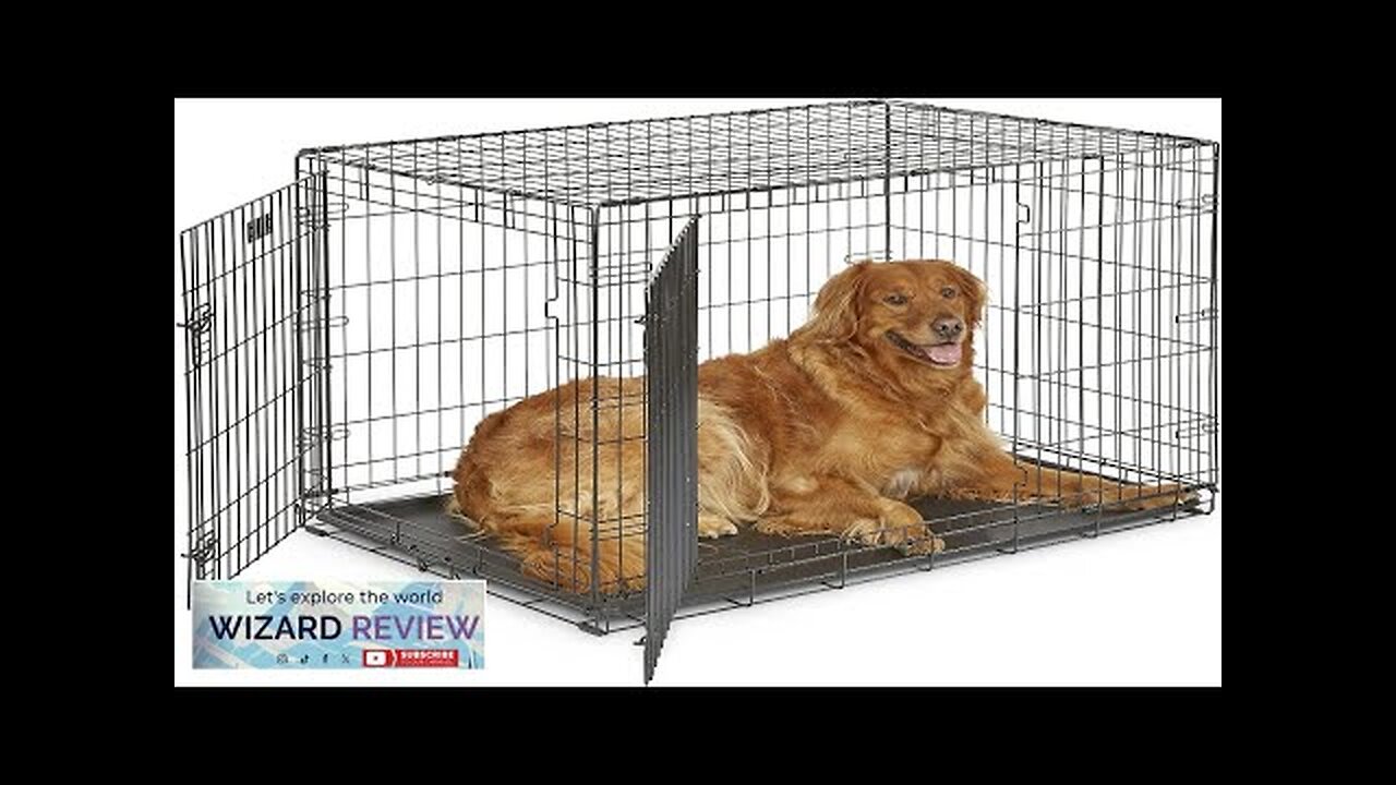 MidWest Homes for Pets Newly Enhanced Double Door iCrate Dog Crate Includes Review