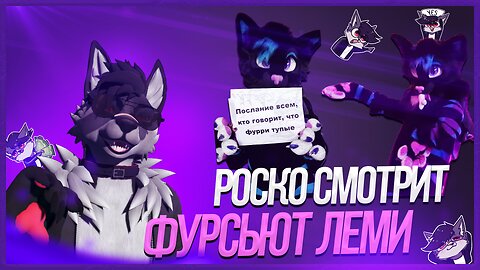 🐺 Роско смотрит новый фурсьют Леми